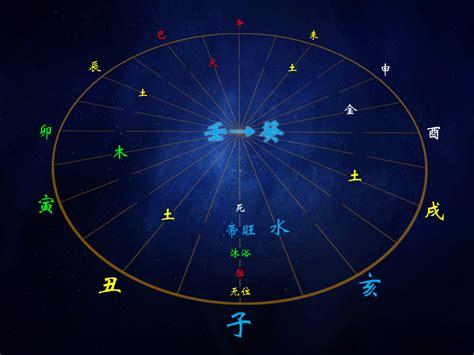 丙巳|十二地支解析：巳 巳与其他十二地支的关系